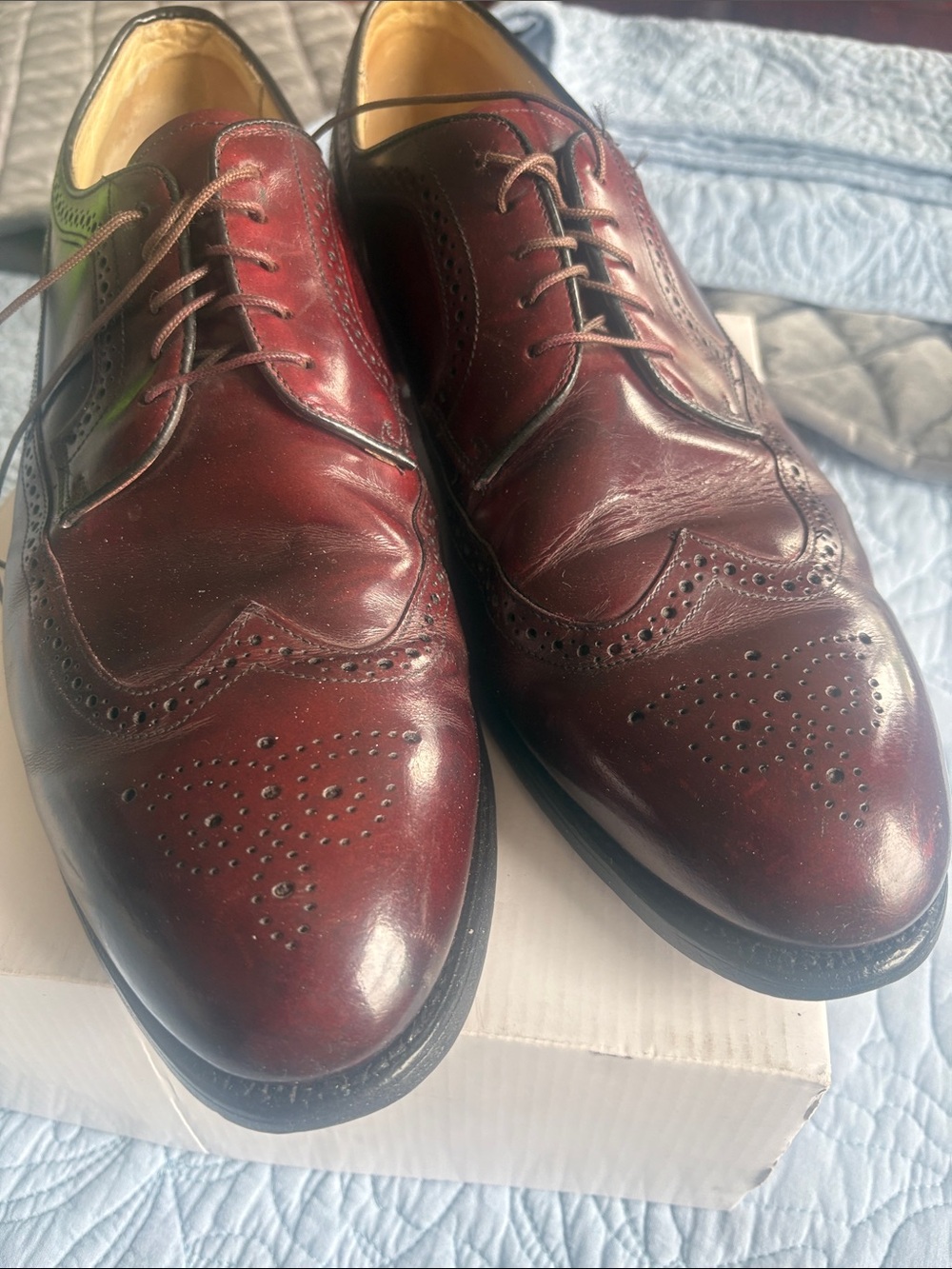 Bostonian Men's Burgundy Leather Wingtip Oxfords
